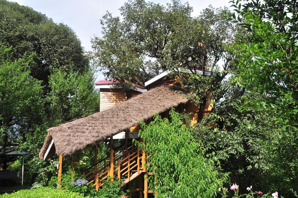 India's best tree houses
