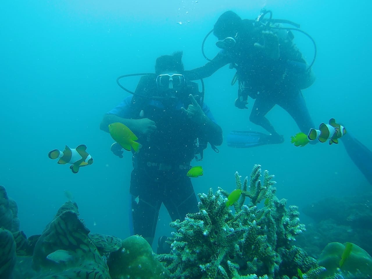 scuba diving andamans