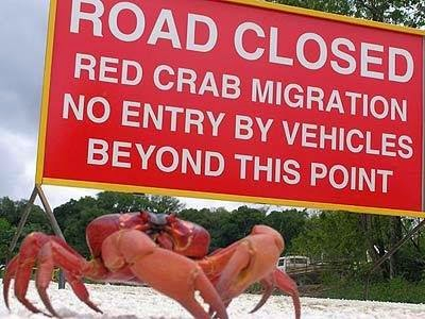 Why to go to Christmas Island