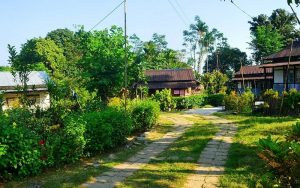 Asia's cleanest village mawlynnong