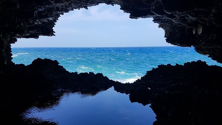 Animal Flower Cave in Barbados 