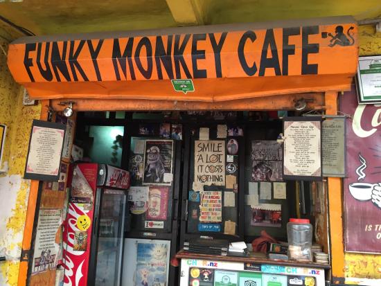 The Funky Monkey Café