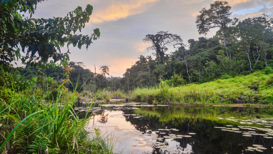 Loango National Park 