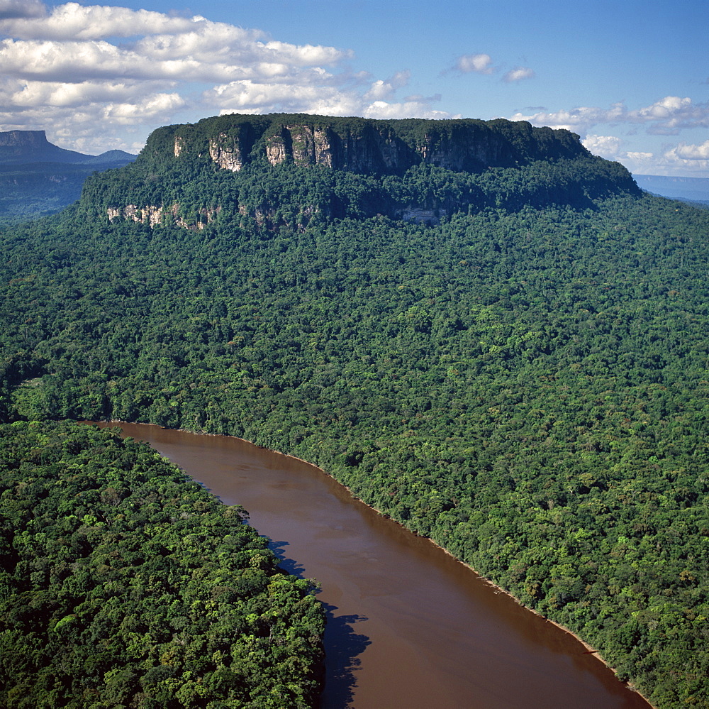 rainforests of Guyana 
