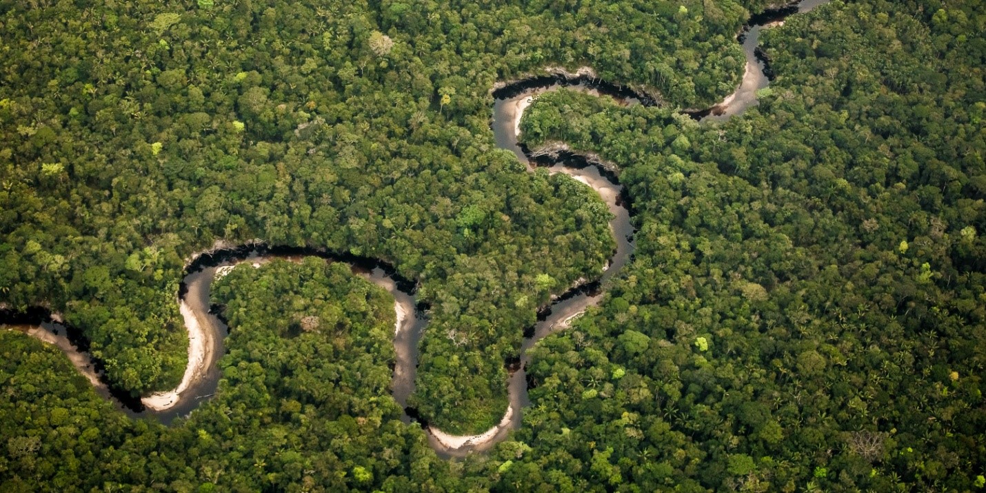 amazon river 