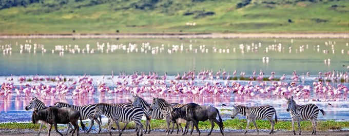 Ngorongoro Crater 
