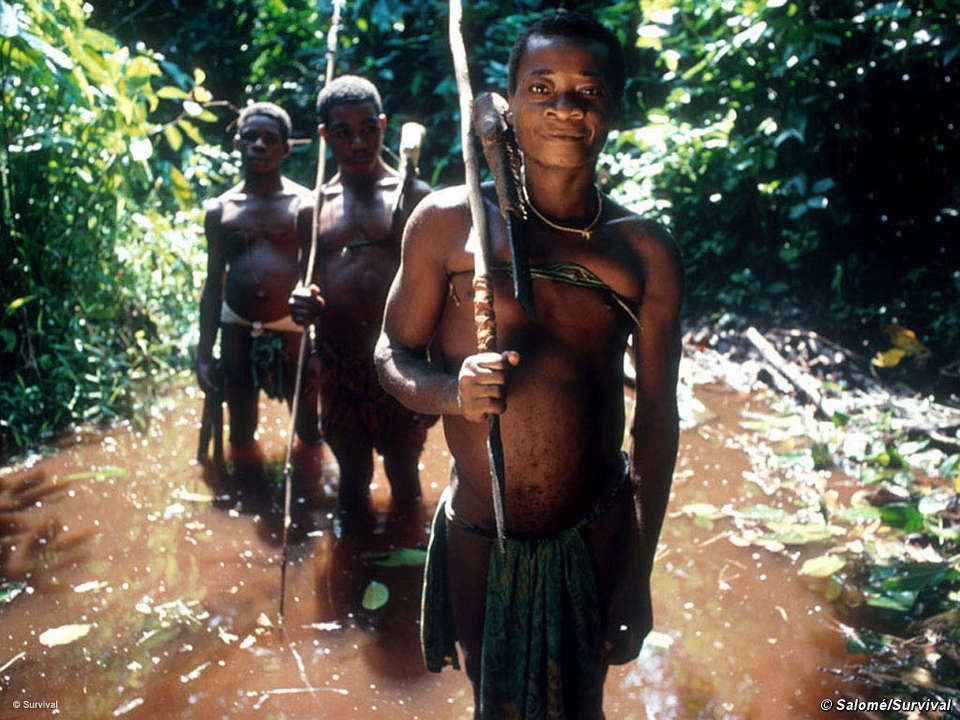 Pygmy Tribe