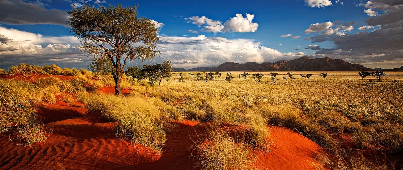 things to do in namibia