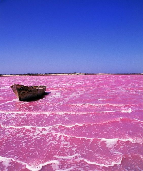 pink lake in senegal 