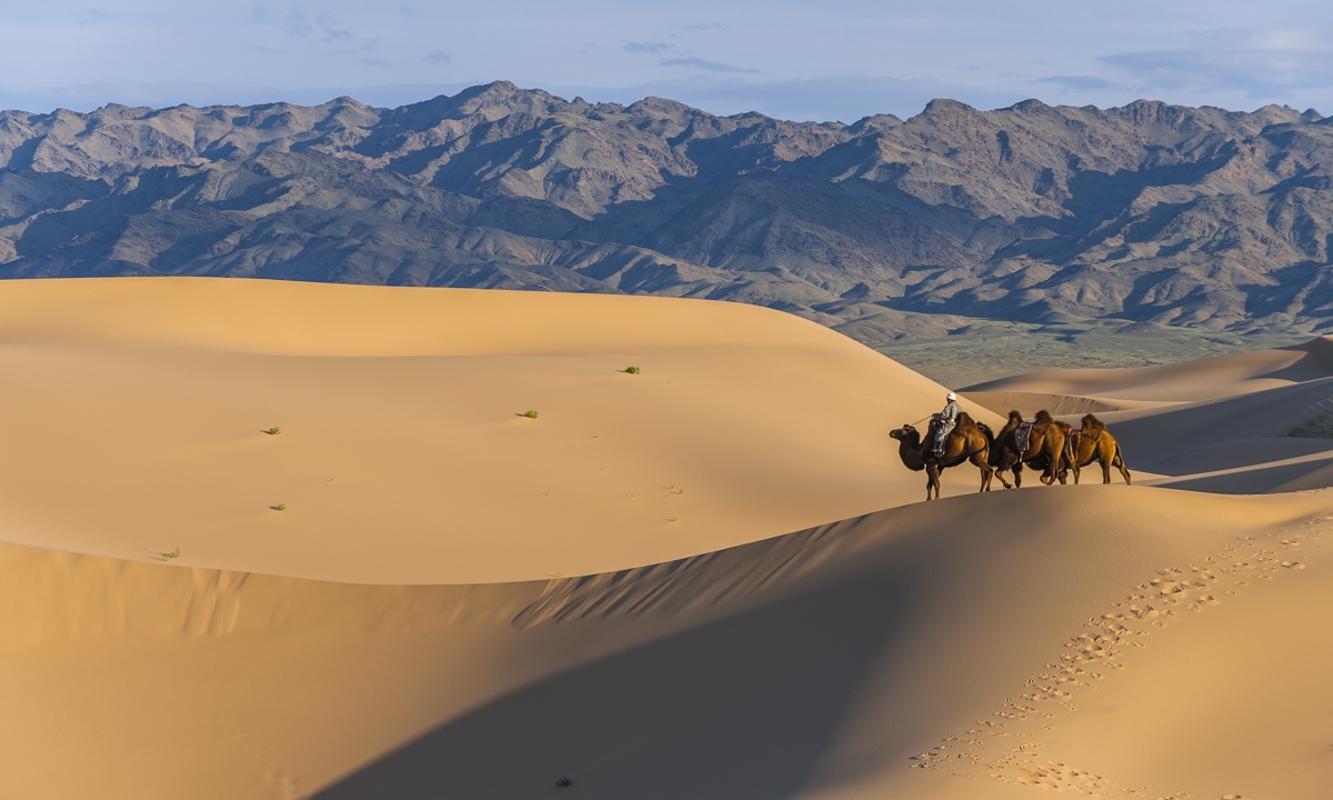 Gobi Desert: 