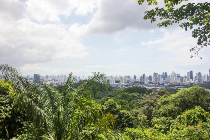 Panama City rainforest 