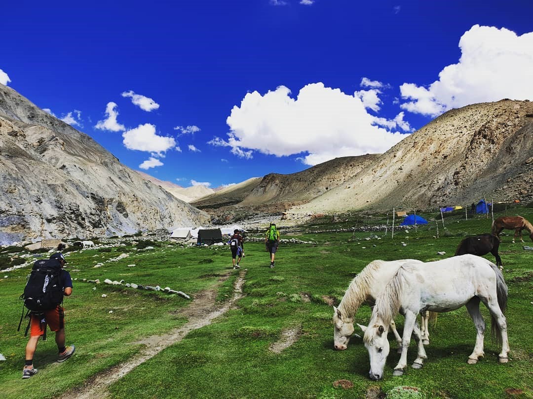 Best Treks in Ladakh
