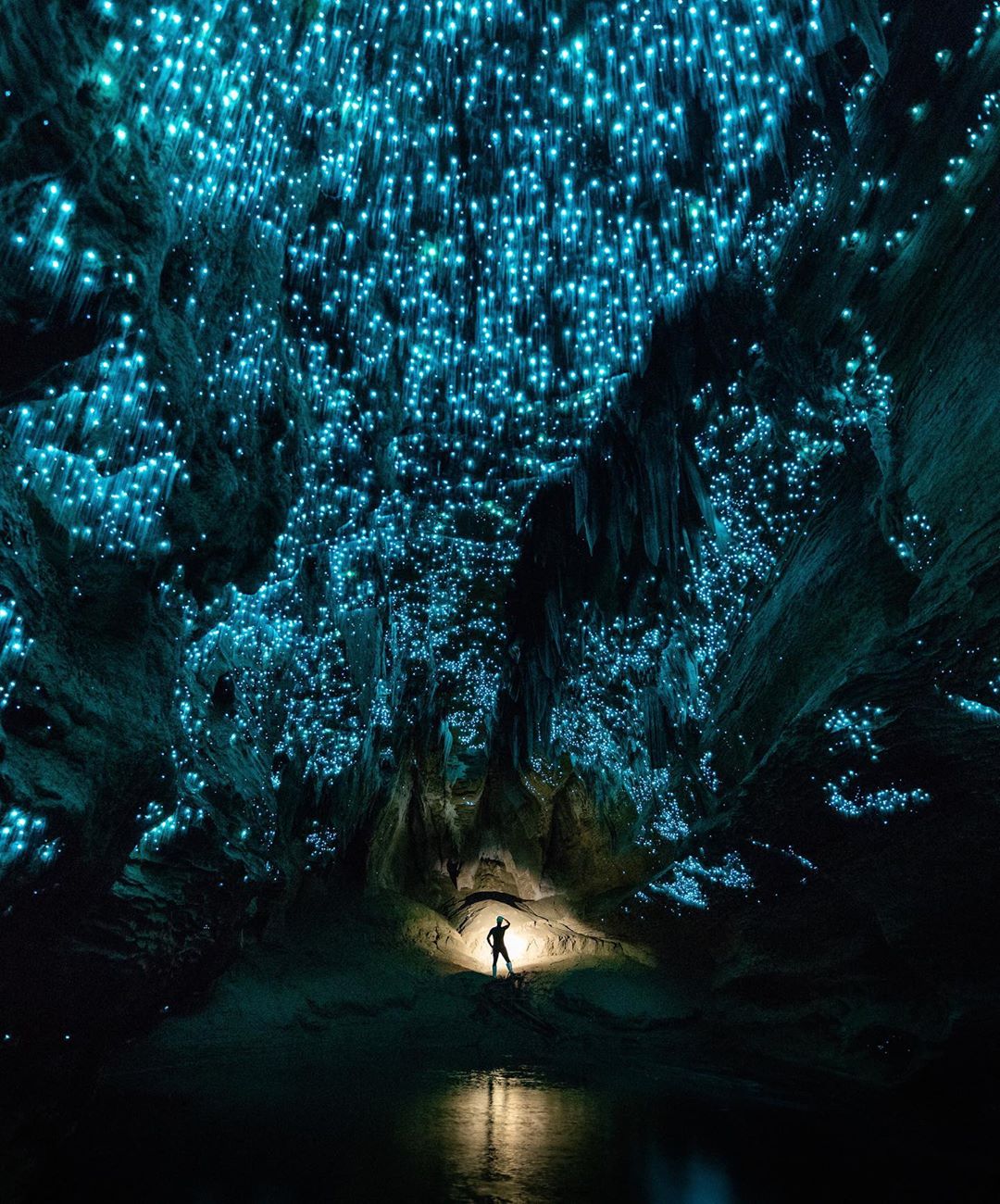 Waitomo Glowworm Caves