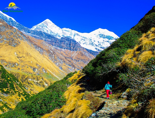 Best Treks in Uttarakhand