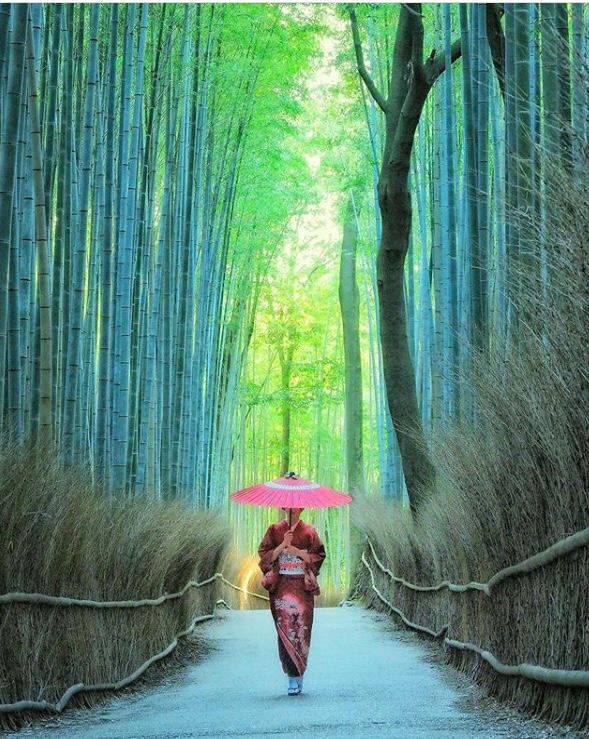Arashiyama Bamboo Grove 