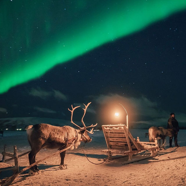 things to do in lapland 