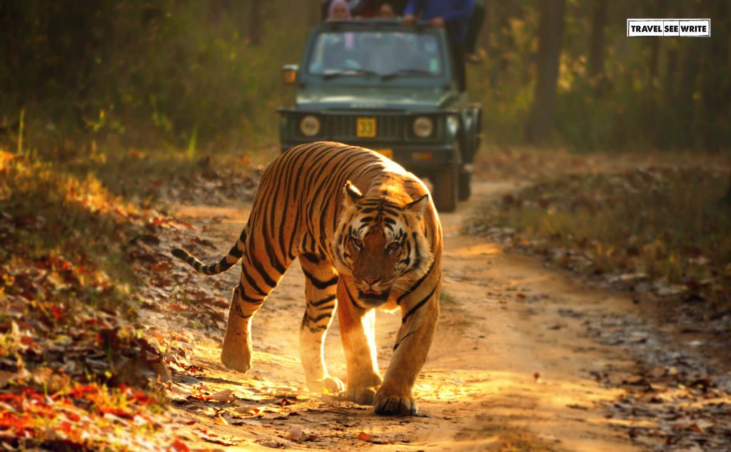 India's Best National Parks