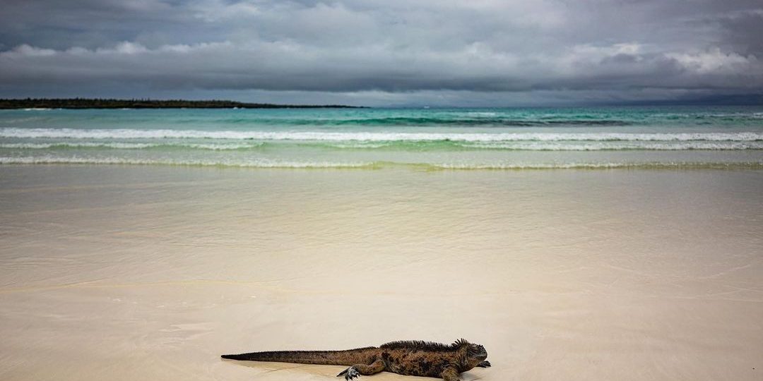 things to do in galapagos