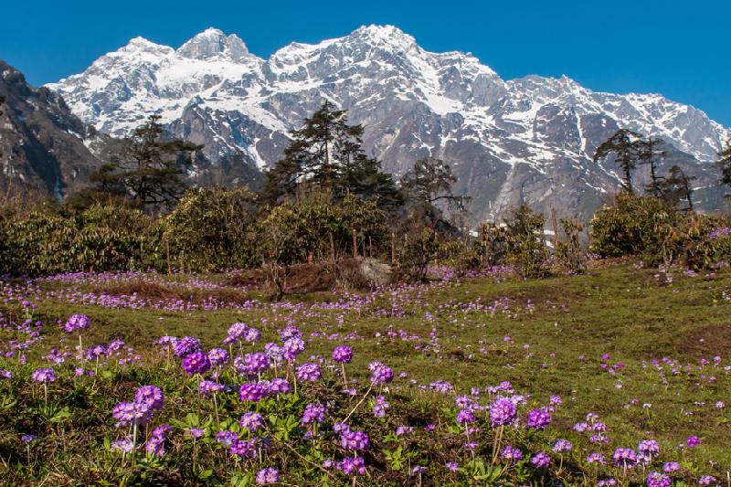 how to reach yumthang valley
