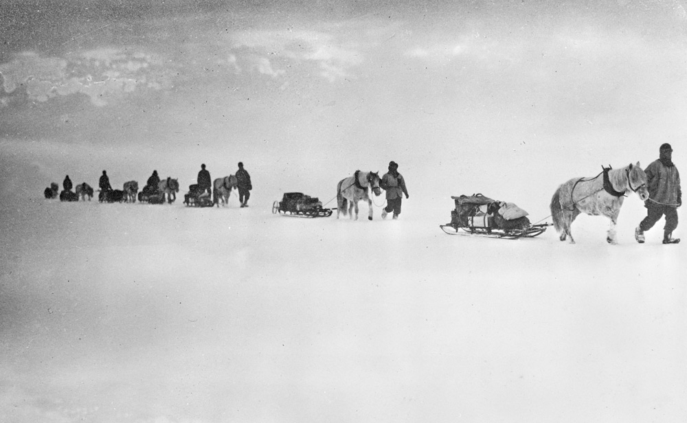 south pole expedition 
