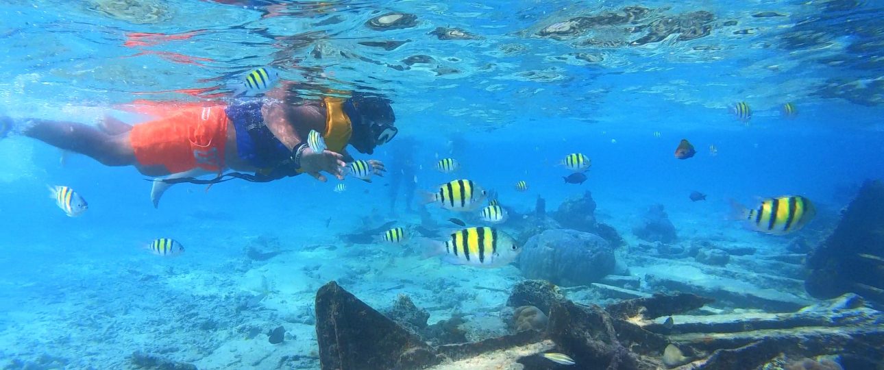 Lakshadweep Series with OHOT: Snorkelling on New Years' Eve