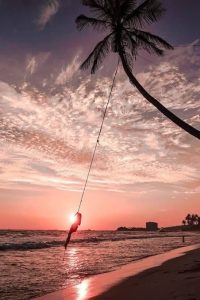 Someone swinging on Palm tree at Dalwella Beach.