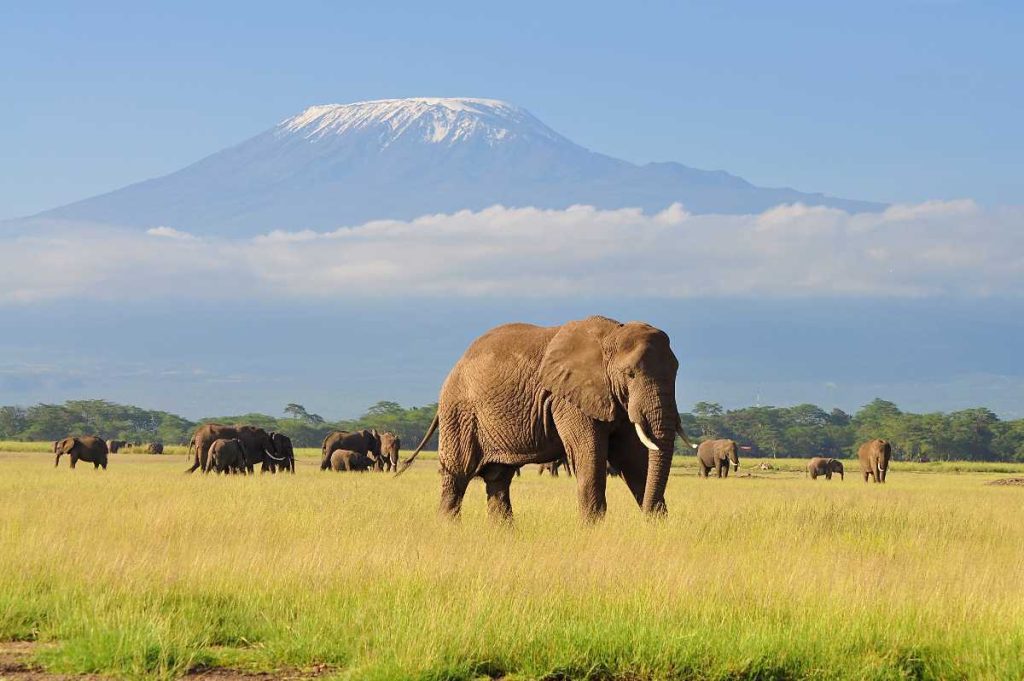 AMBOSELI-NATIONAL-PARK