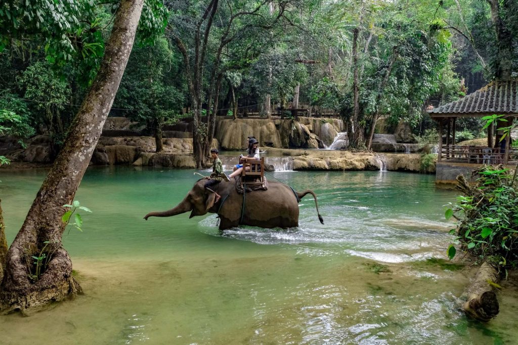 1130-0203_half-day-tad-sae-waterfall-elephant-riding-tour-laos-pelago0