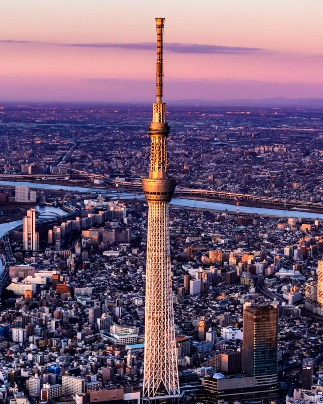 Top Things to Do in Tokyo: Discover Japan’s Vibrant Capital