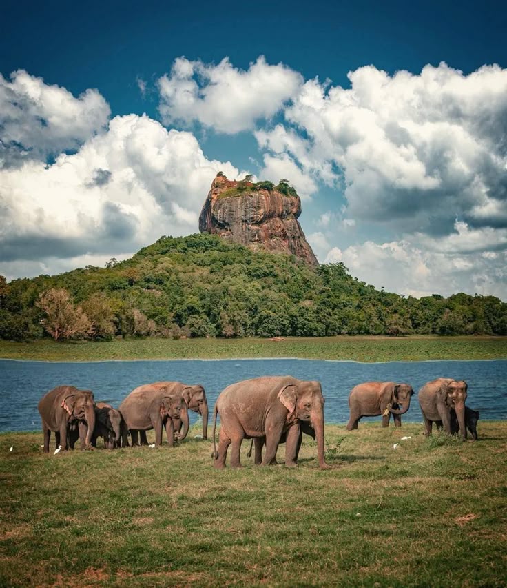Sri Lanka