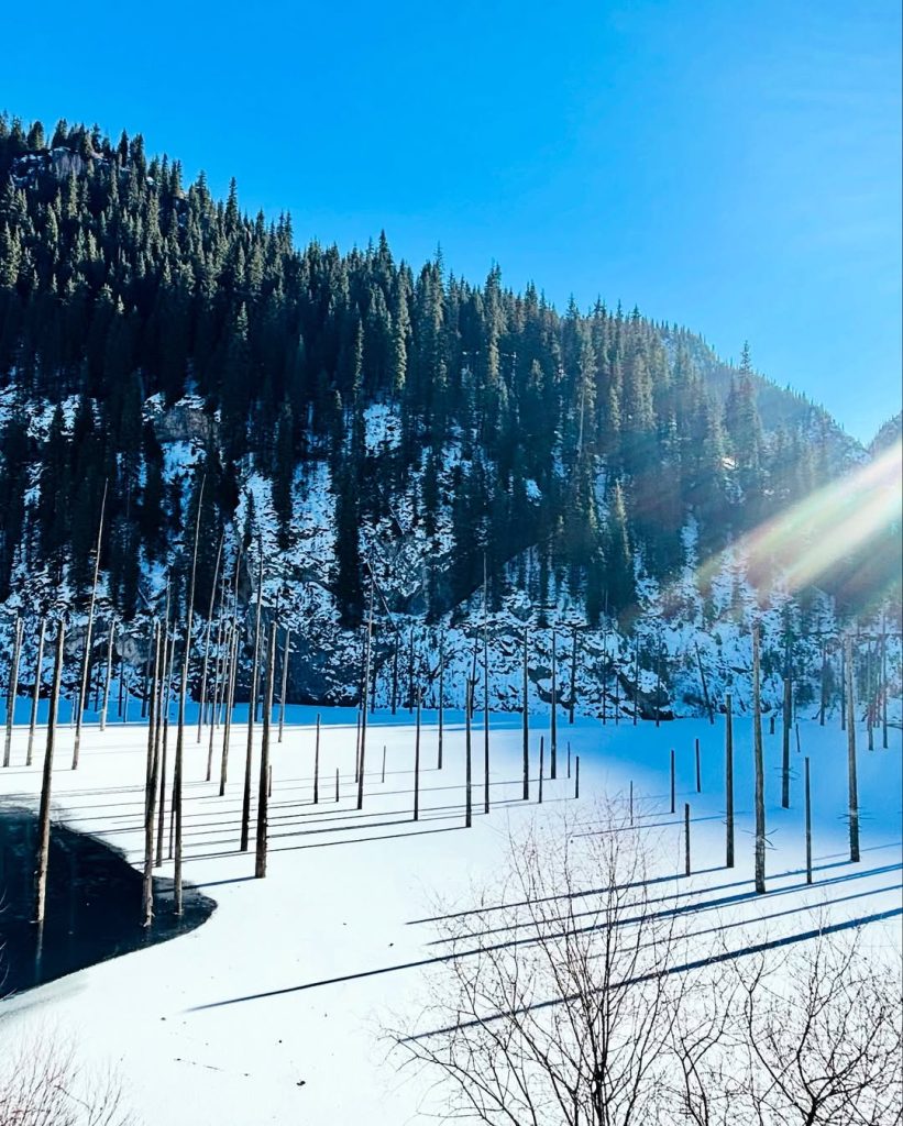 SnapInsta.to_471453081_18475401178010822_5631939689715988150_n