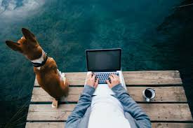 Digital Nomad Lifestyle: How to Work and Travel