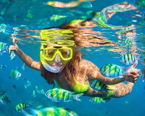snorkelling